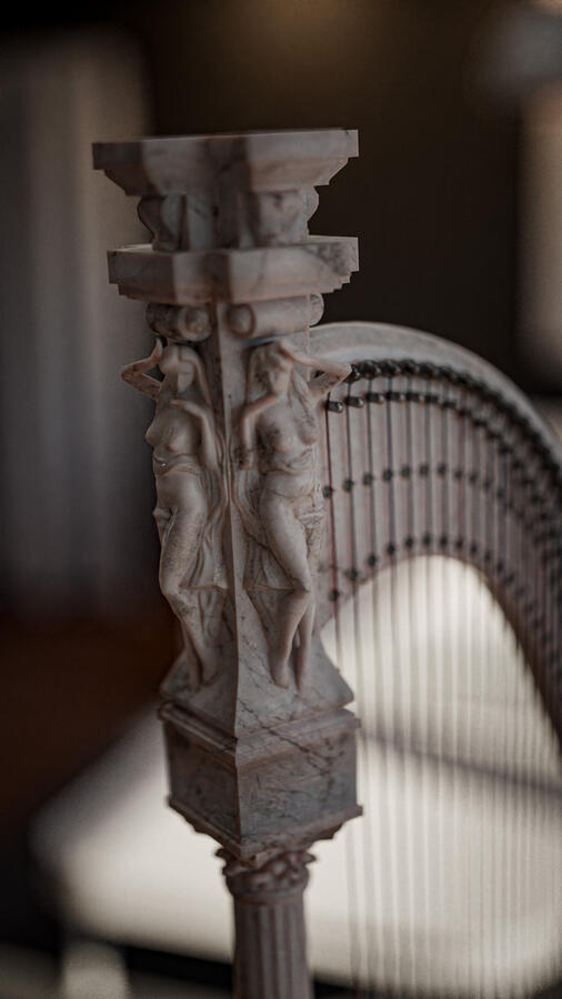 Harp Zoomed Top